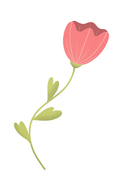 花簇,植物学,叶子