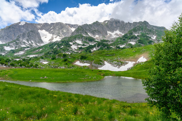 池塘,阿尔卑斯山脉,高山