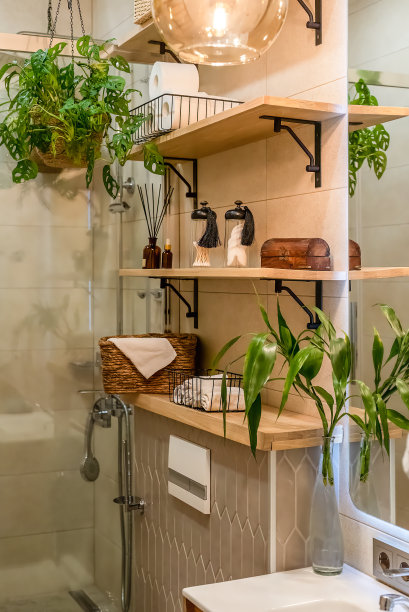 水槽,室内植物,浴室