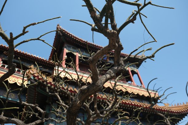 儒教寺庙