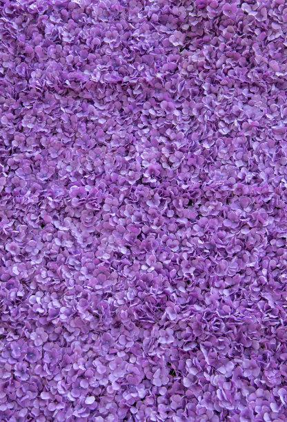 蓝紫色布纹纤维背景