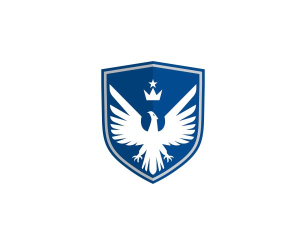 蓝色大气标志logo设计