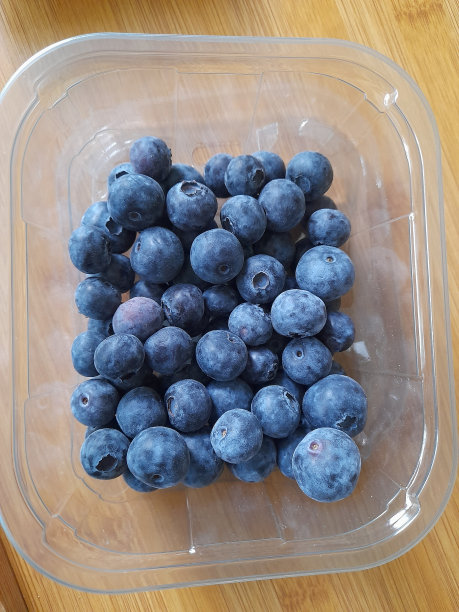 蓝莓透明图