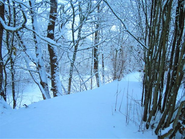 大雪,林中小道