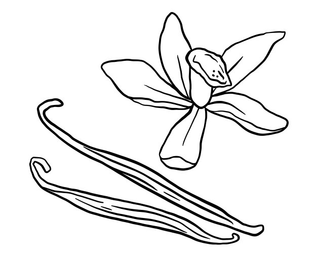 君子兰logo