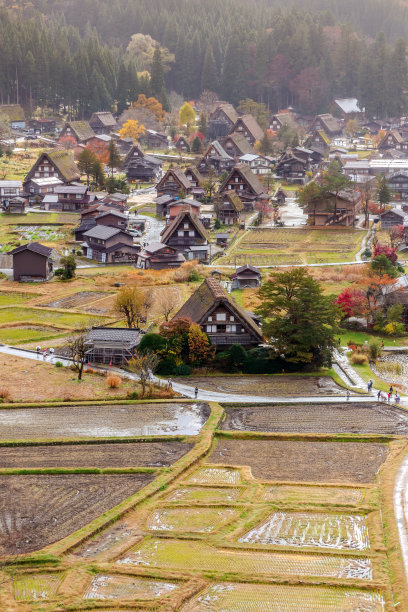 雨天的乡村道路美景