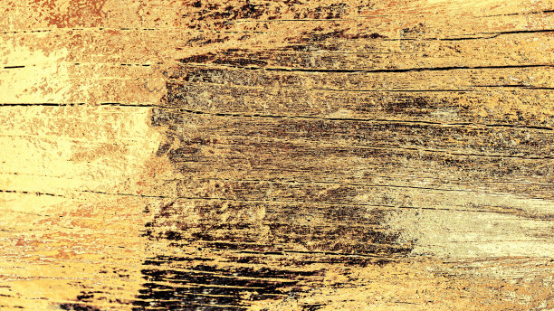 硬木,纹理,木镶板