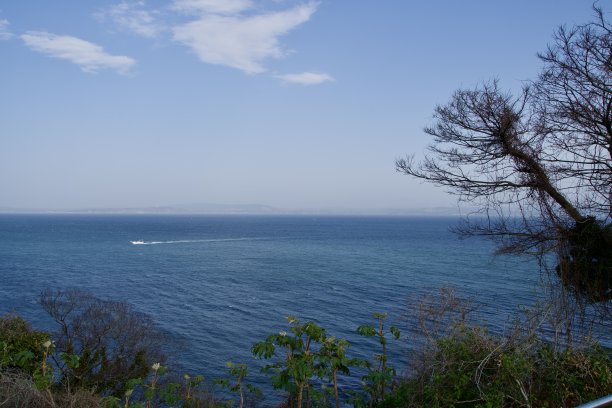 太平洋,水,自然