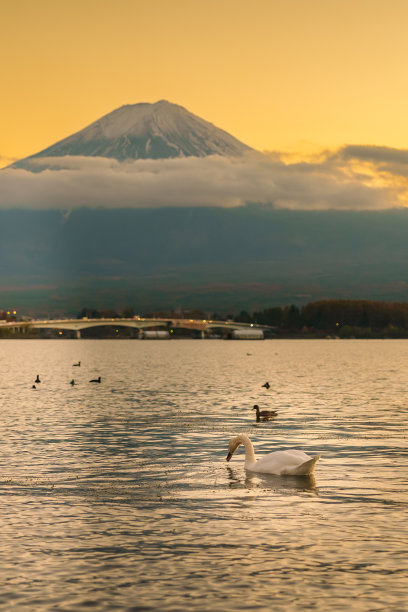 河口湖,山梨县,高山