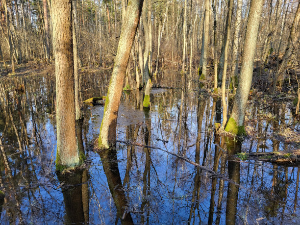 湿地河流天空素材