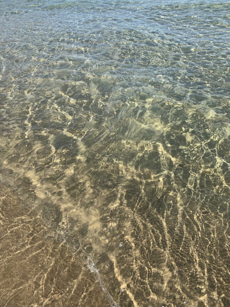 彩色夏季大海和沙滩风景矢量图