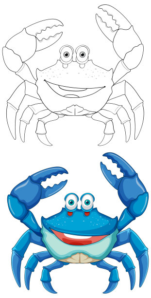 青蟹插画