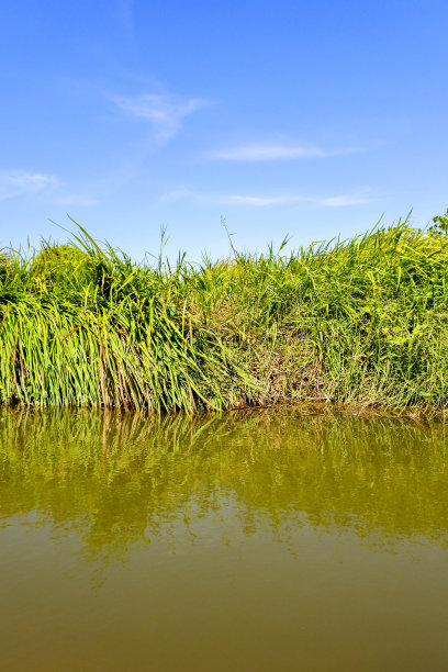 湿地生态环境