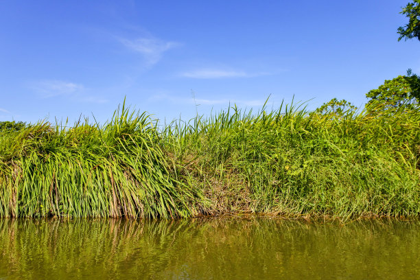 湿地生态环境