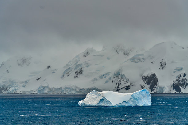 南极企鹅图片