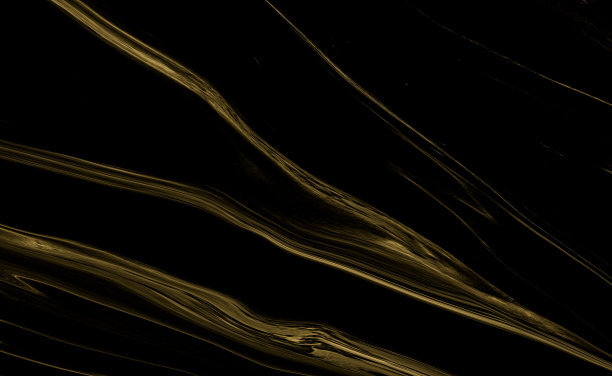 黑金手绘效果图