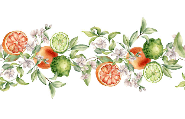 手绘橙色切片水果图案