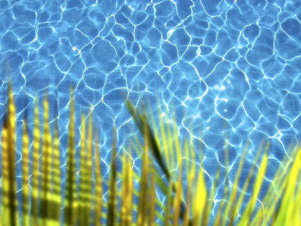 清新蓝绿棕榈叶图案背景