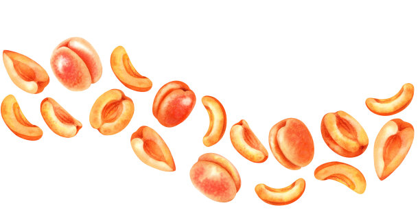 手绘橙色切片水果图案