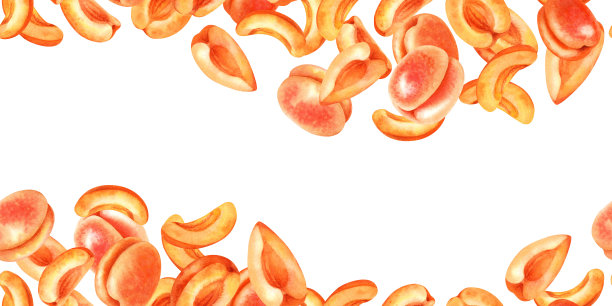 手绘橙色切片水果图案