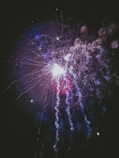 初夏上新