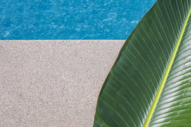 清新蓝绿棕榈叶图案背景