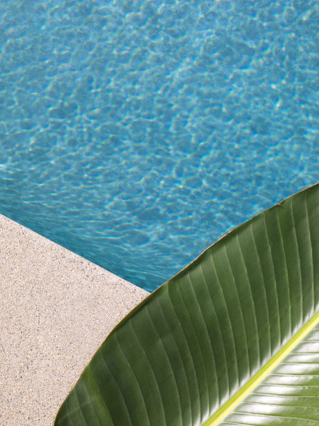 清新蓝绿棕榈叶图案背景