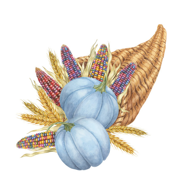 竹篮手绘传统美食插画