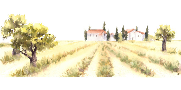 山水插画果园手绘