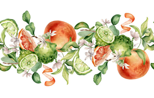 手绘橙色切片水果图案