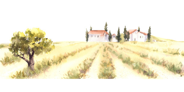 山水插画果园手绘