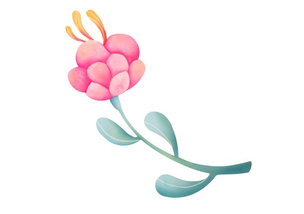 手绘牡丹花透明背景