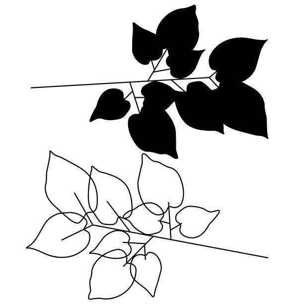 水蜜桃书法字