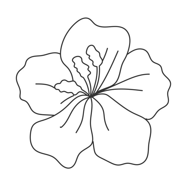 线描木槿花