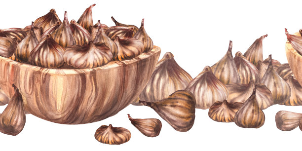 无花果包装手绘