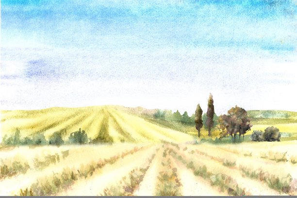 山水插画果园手绘