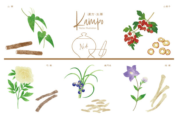 手绘中药