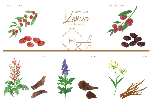 手绘中药