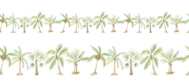 手绘小清新树叶花卉花环