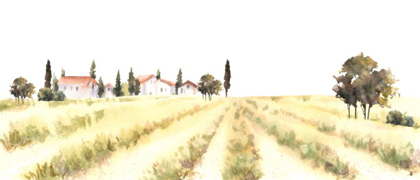 山水插画果园手绘