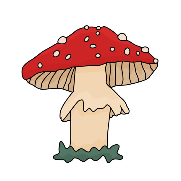 agaric