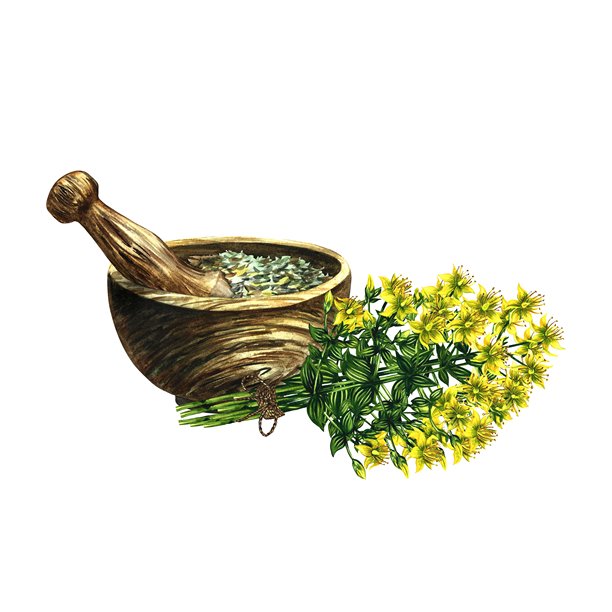 手绘中药