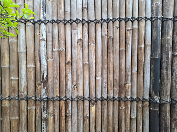 竹子素材竹林墙面