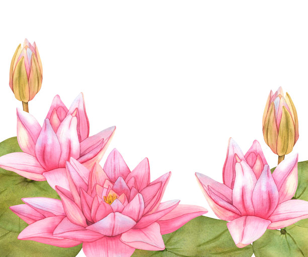 中式手绘植物叶子