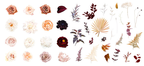 手绘小清新树叶花卉花环