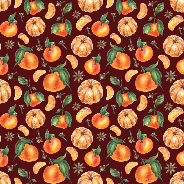 手绘橙色切片水果图案