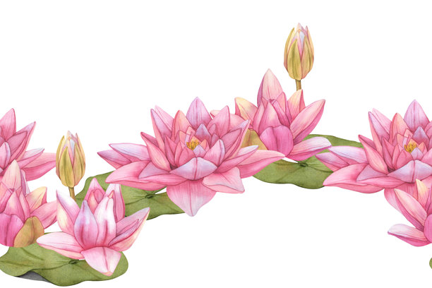 中式手绘植物叶子