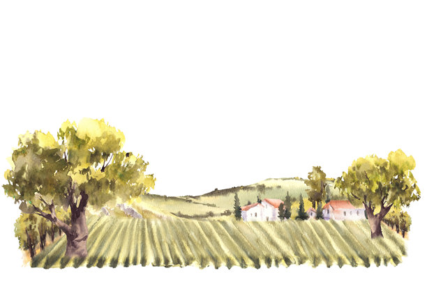 山水插画果园手绘