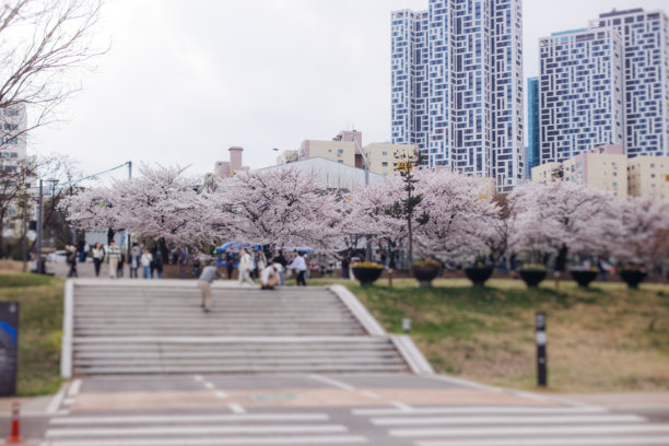 4月的花朵