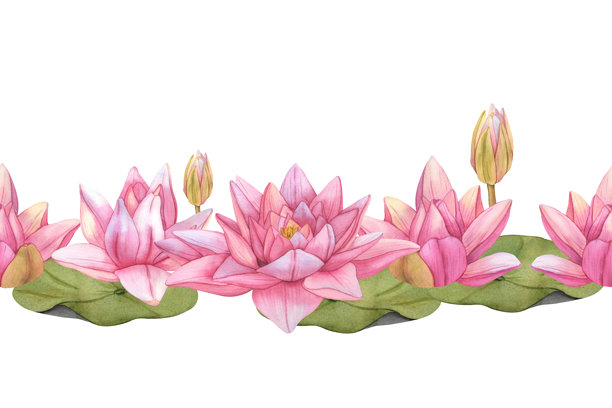 中式手绘植物叶子